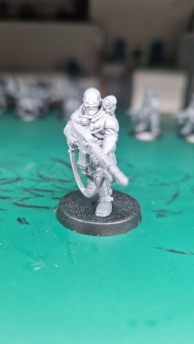 Bract Hulwin miniature